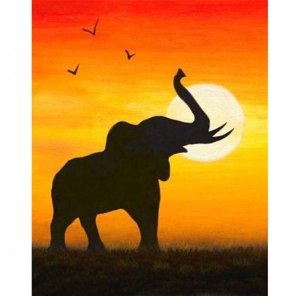 Elefant i solnedgang