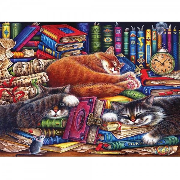 Katter blant bøker