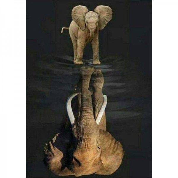 Elefant speilbilde