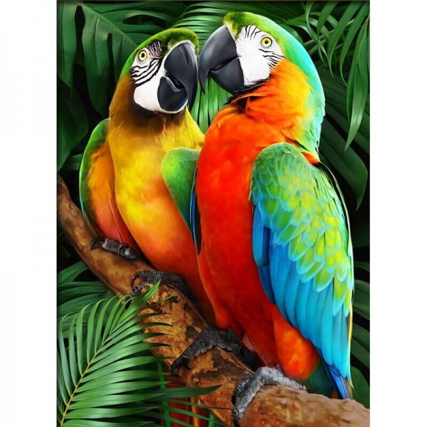 Papegøyer
