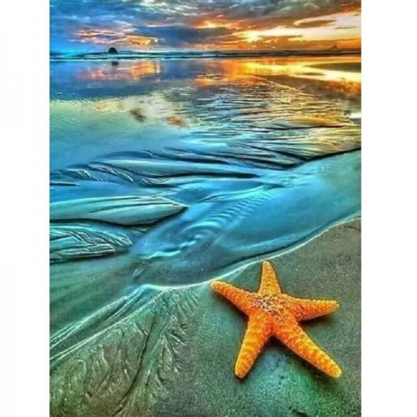 Sjøstjerne