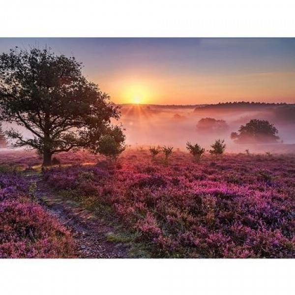 Hollandske Veluwe