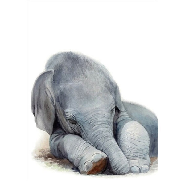 Sovende elefant