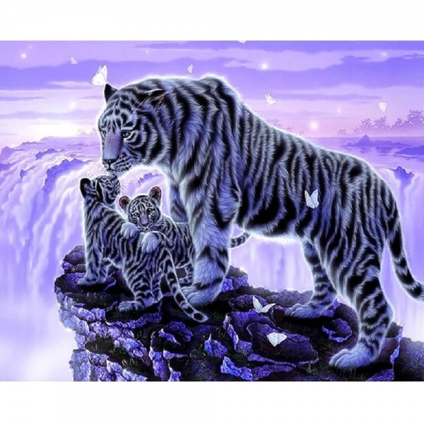 Tigre på en klippe