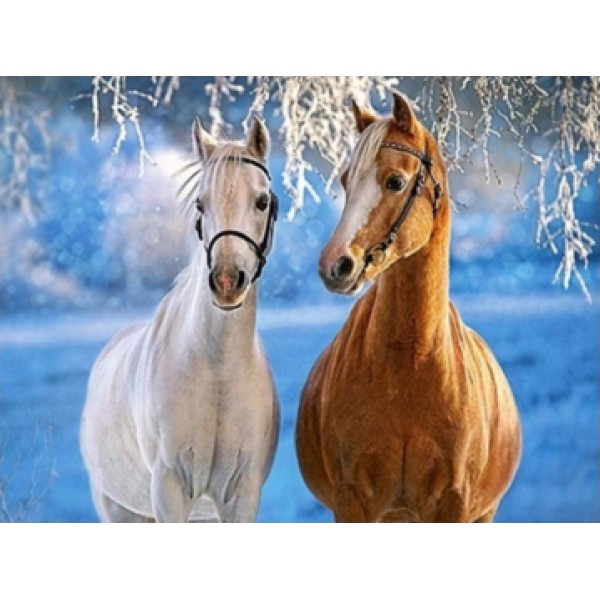 Hester i snø