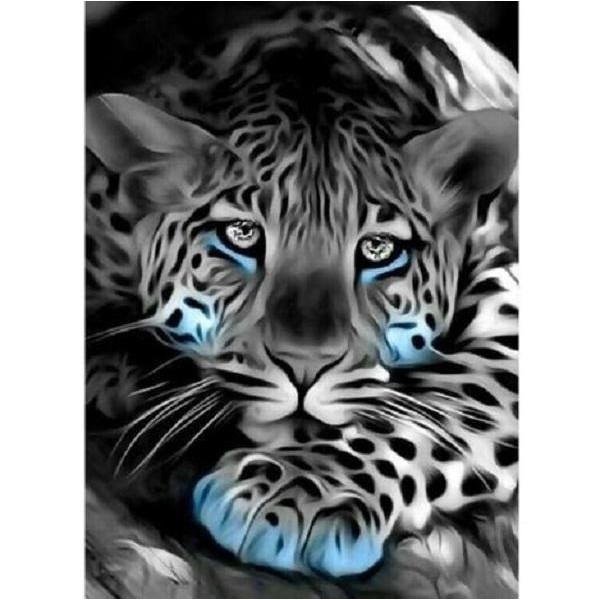 Svart og hvit leopard