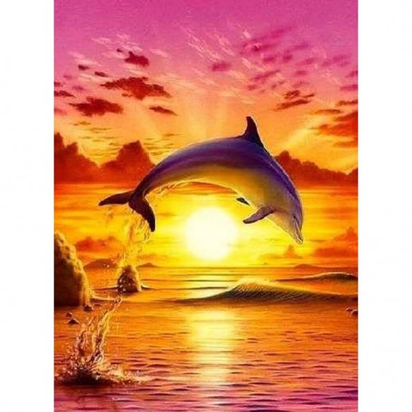Delfin i solnedgang