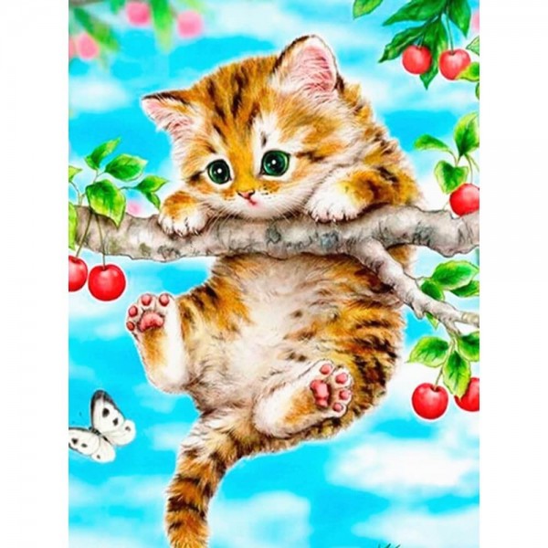 Katt i kirsebærtre