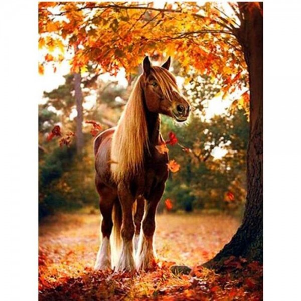 Hest om høsten