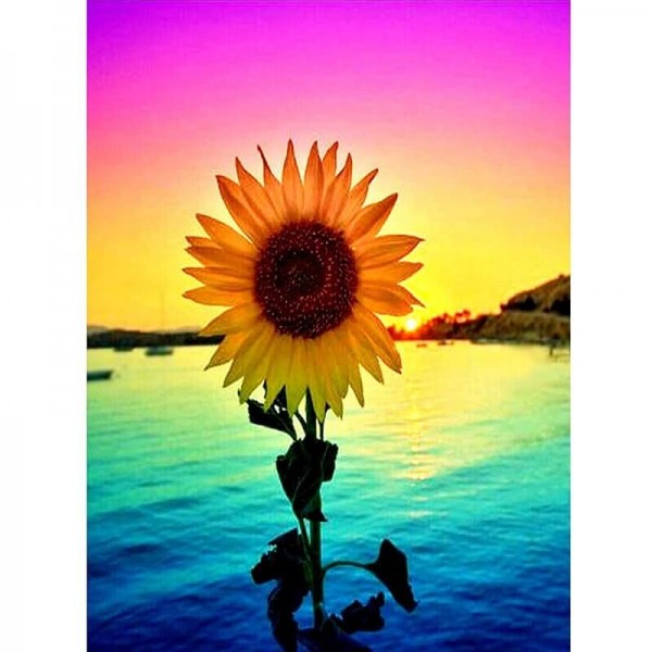 Solsikke i skumringen