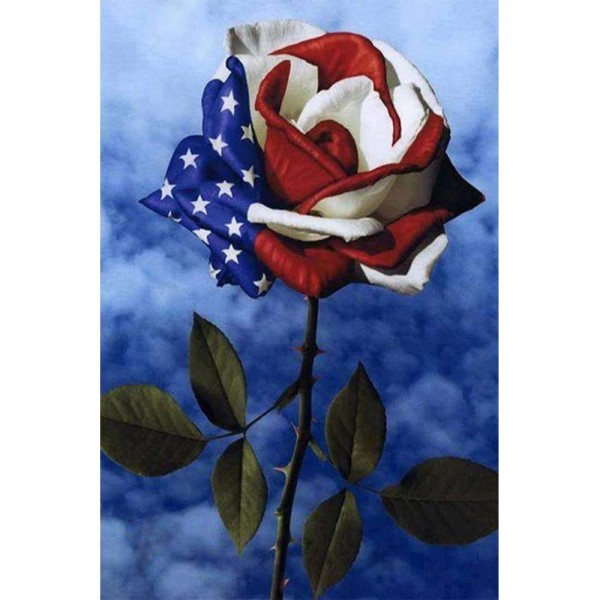 Amerikansk flagg i rose