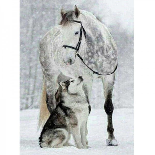 Hest og ulv
