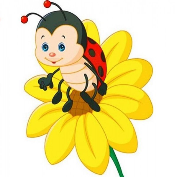 Marihøne på blomst