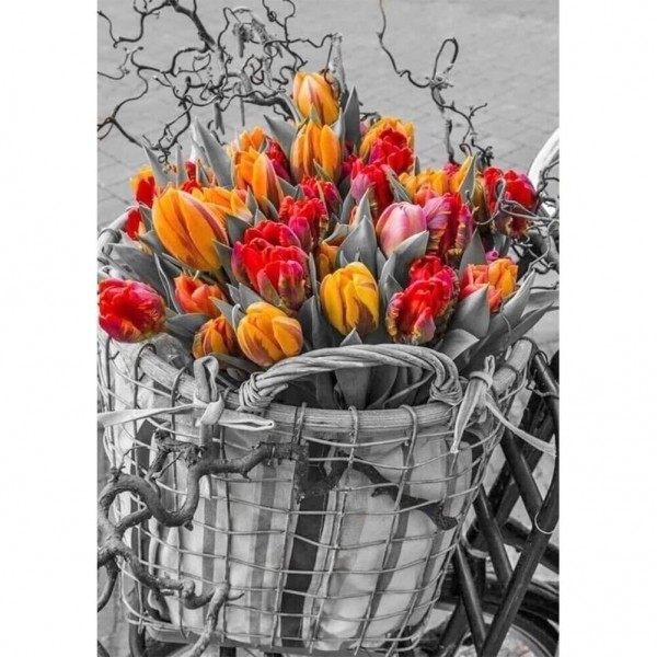 Tulipaner i kurven