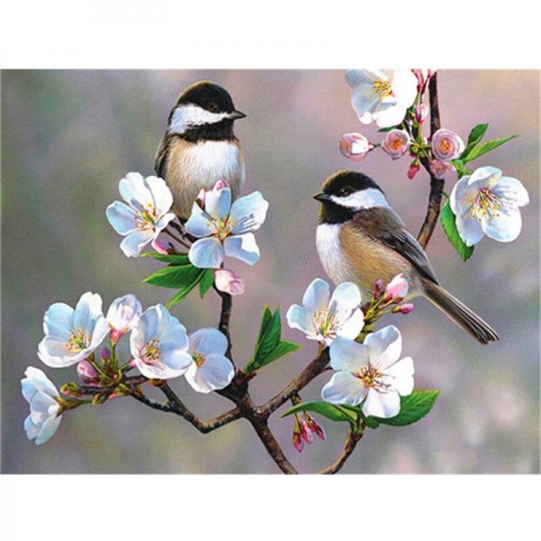 Fugler i blomstrende trær